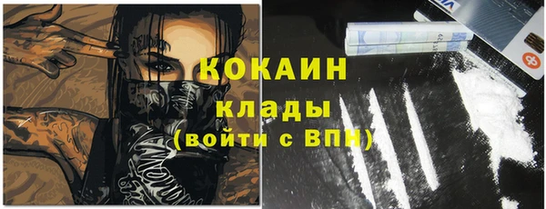 твердый Дмитриев