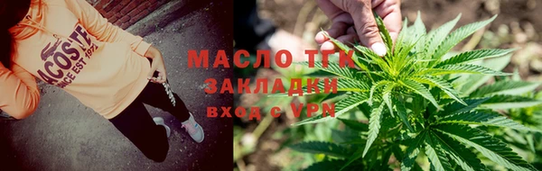 твердый Дмитриев