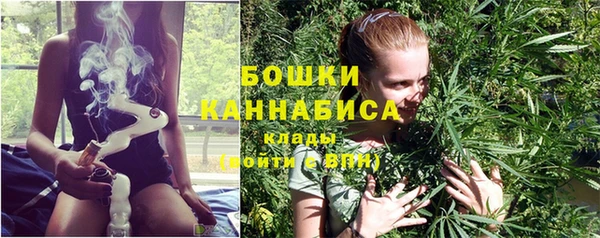 твердый Дмитриев