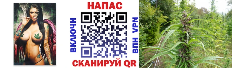 Шишки марихуана LSD WEED  Купить закладки  Новое Девяткино 